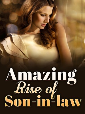 Read completed Amazing Rise of Son-in-law online -NovelCat