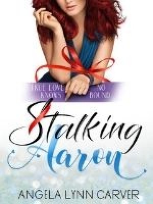 Stalking Aaron Book Two Of The Ugly One,Angela Lynn Carver