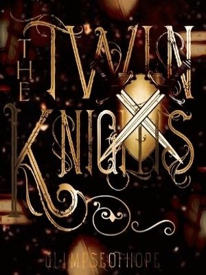 Twin Knights,CrazyLittleFantasy