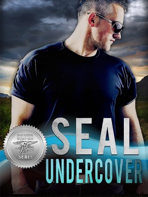 SEAL Undercover,Desiree Holt