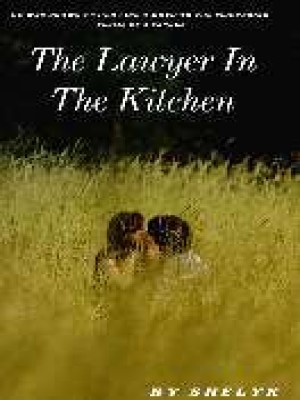 The Lawyer in the Kitchen,ShellyK