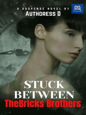 STUCK BETWEEN THE BRICKS BROTHERS,Authoress D