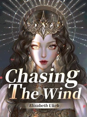 Chasing The Wind,Elizabeth Ukeh