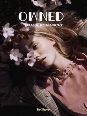 OWNED ( DARK ROMANCE),Navy