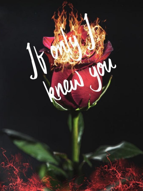 If Only I Knew You