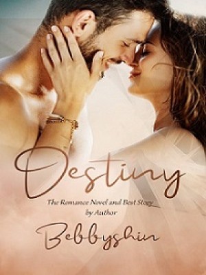 DESTINY-LONG DISTANCE RELATIONSHIP,Bebbyshin