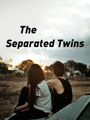 The Separated Twins,Chrisney D Writes