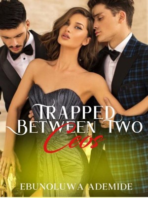 TRAPPED IN BETWEEN TWO CEOS,Ebunoluwa Ademide