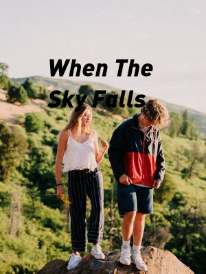 When The Sky Falls