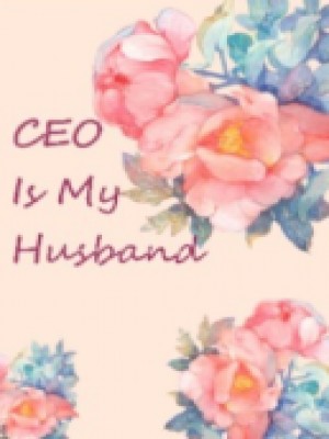 CEO Is My Husband,Miss Thunder