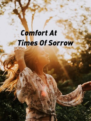 Comfort At Times Of Sorrow,SEANDICATE