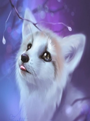 The White Fox