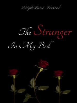 The Stranger In My Bed,LeighAnne Ferreol