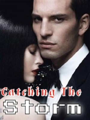 Catching The Storm cover