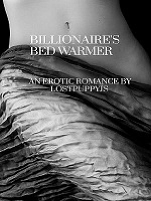 Billionaire's Bed Warmer,LostpuppyJS
