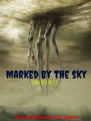 Marked By The Sky,Amef