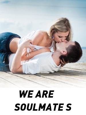 WE ARE SOULMATE S