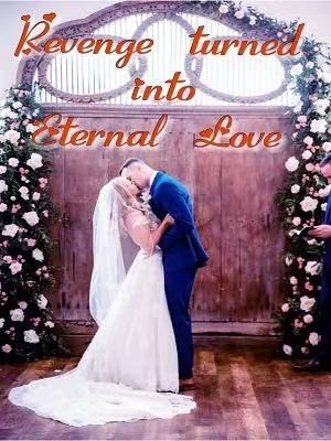 Revenge Turned Into Eternal Love,Meheksadia