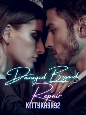 Damaged Beyond Repair,KittyKash92