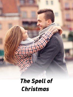 The Spell of Christmas,Lisa Gray