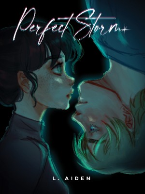Perfect Storm,L. Aiden