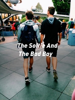 The Softie And The Bad Boy,linyyyyy