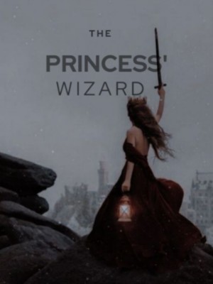 The Princess' Wizard