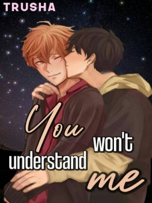 You Won't Understand Me