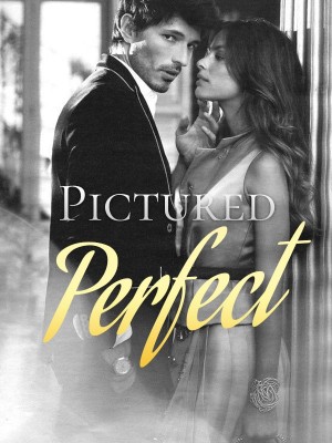 Pictured Perfect